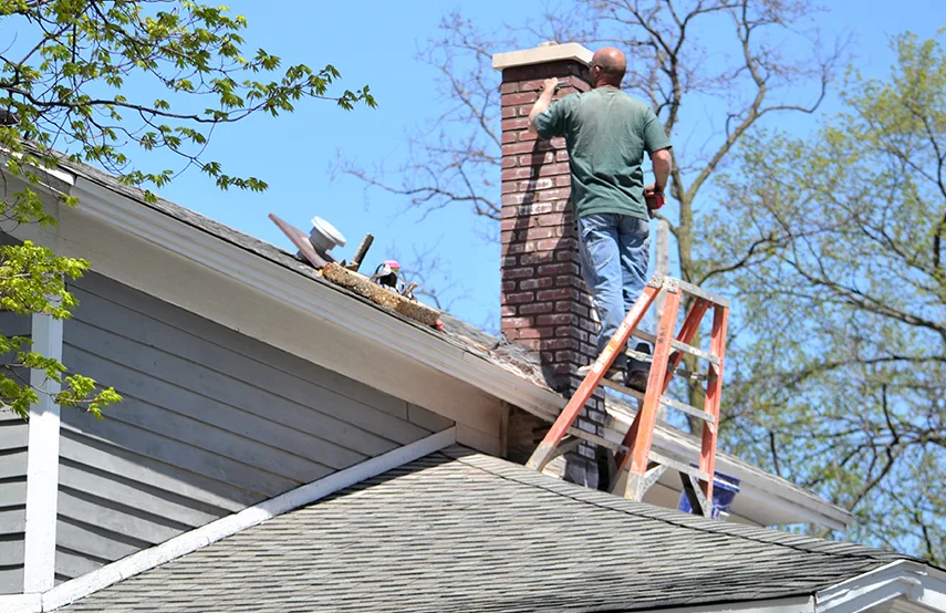 Chimney & Fireplace Inspections Services in Jacksonville, TX